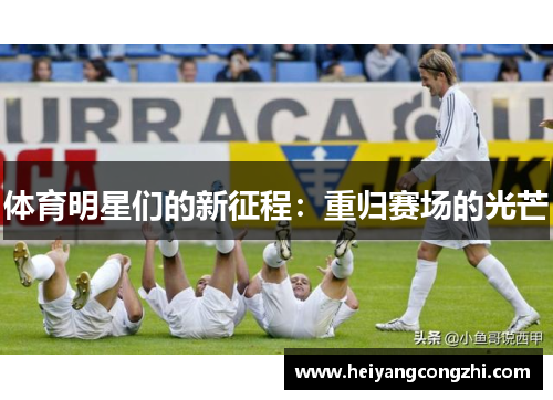体育明星们的新征程：重归赛场的光芒
